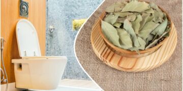 Господині розповіли, навіщо класти в унітаз лавровий лист