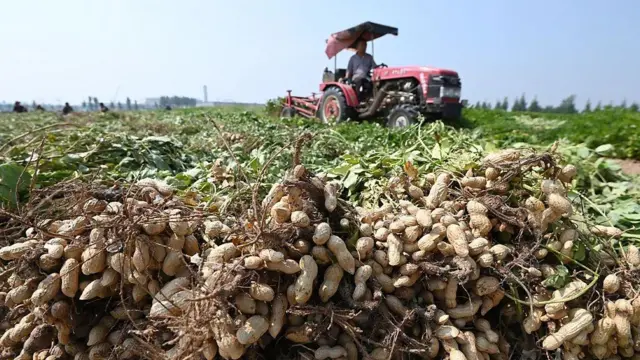Холін: недооцінена  речовина, життєво важлива для мозку