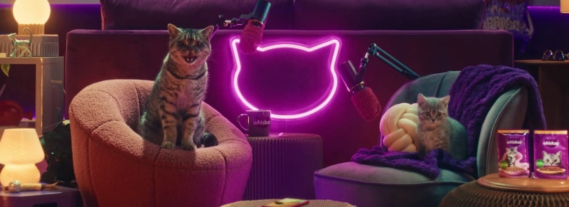 Whiskas запустив подкаст Purrcast: в ньому розмовляють коти (відео)
