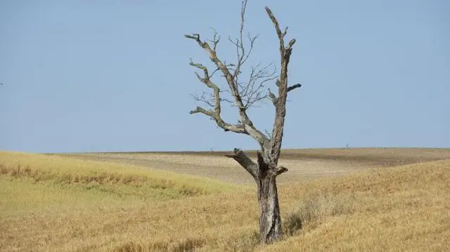 Зникають озера, висихають болота і міліють річки. Посуха в Україні стає лихом