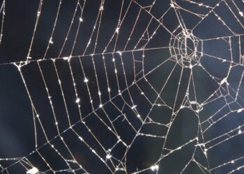 П’ятий аеродром і військово-морська база з ядерним арсеналом: Україна продовжує безпрецедентну операцію “Павутина”