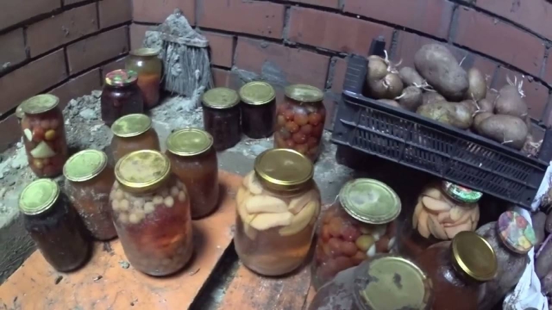 Нарешті змогла позбавитися вогкості в погребі: як легко прибрати весь конденсат