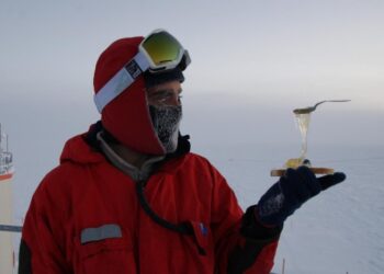 “Як інша планета”: француз прожив рік в Антарктиді і розповів, що його найбільше вразило