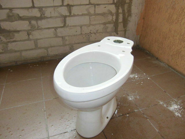 Лайфхак з лавровим листям для унітазу