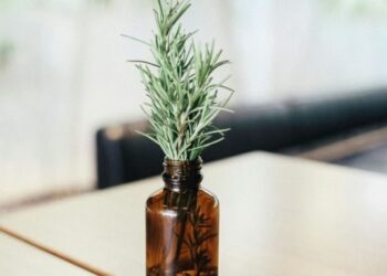Для краси шкіри та волосся: корисні властивості розмарину у косметології