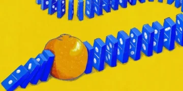 Як їжа впливає на дію ліків